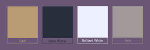 4 Neutral color Swatches: Lark, Navy Brilliant White and Ashlazer,